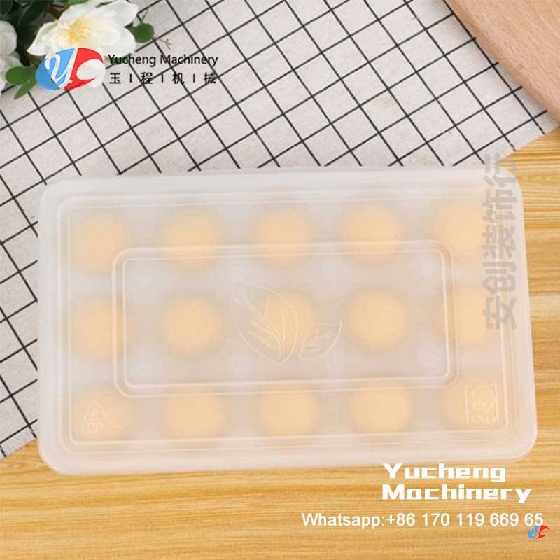 mochiicecreamtray(1).jpg